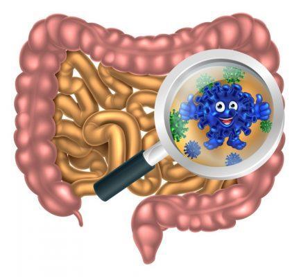 viên ngậm probiotics